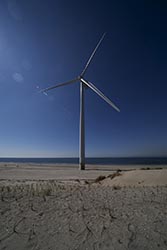 Windpark und Strandleben am Rotterdamer Hafen